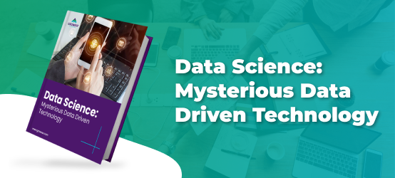 Data Science whitepaper feature image